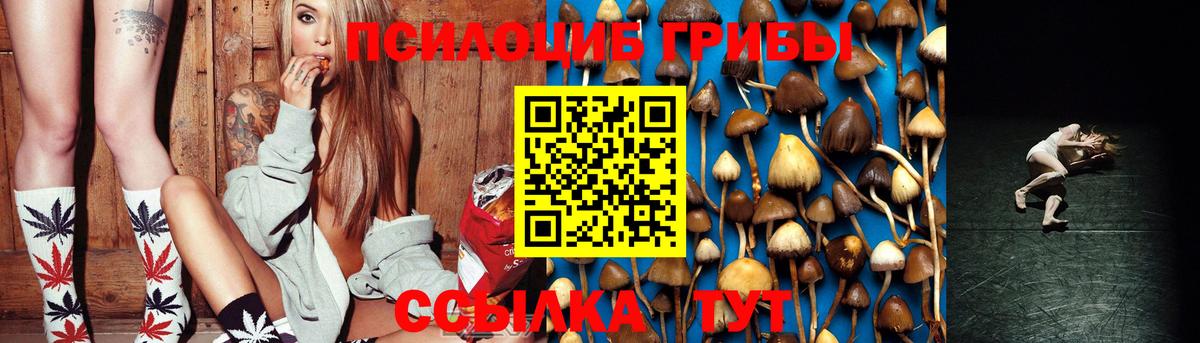 Урюпинск  Галлюциногенные грибы GOLDEN TEACHER  Вход с VPN 