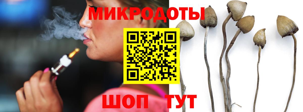 Псилоцибиновые грибы мицелий Урюпинск